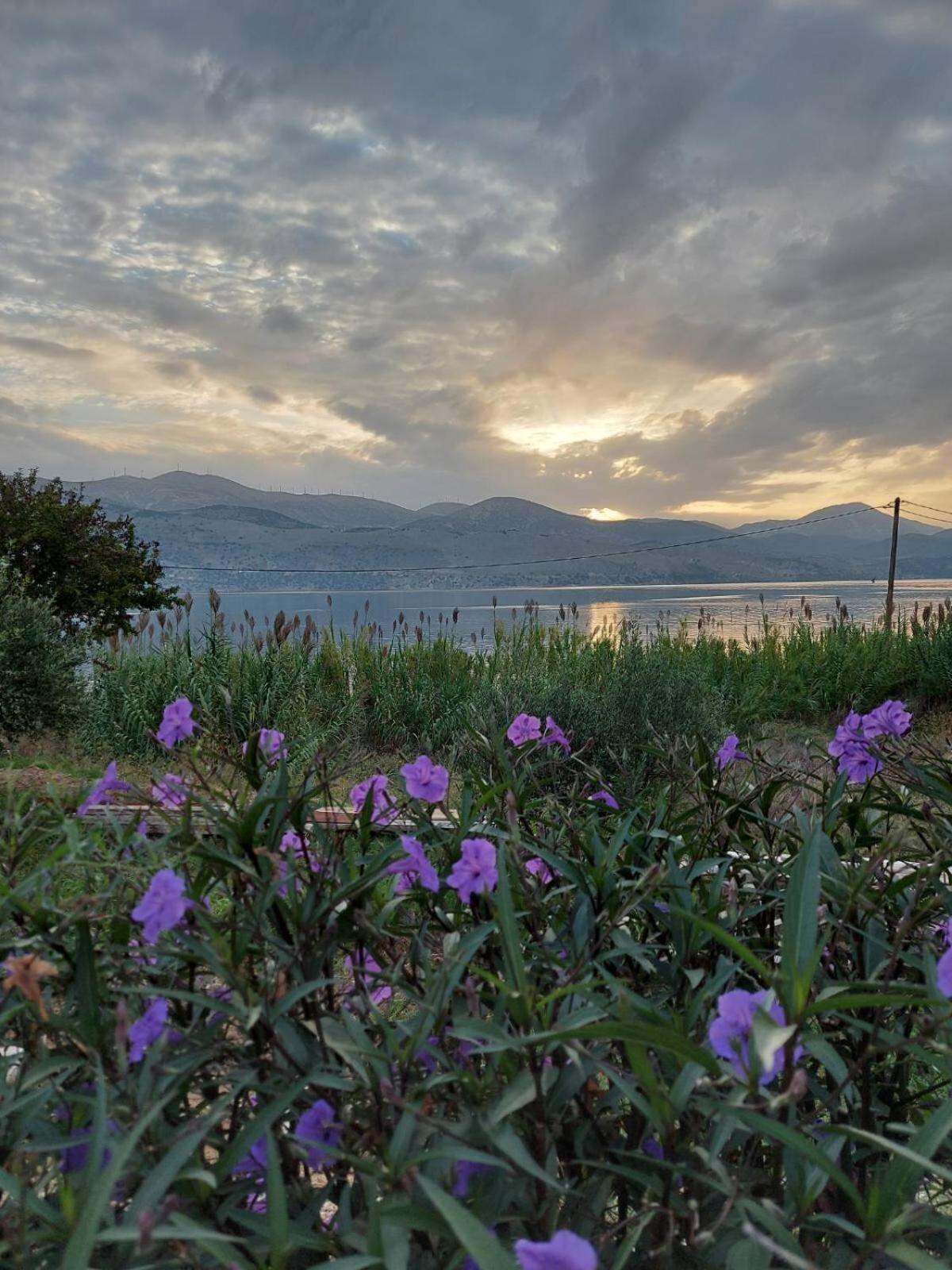 Apollonides Seafront Villa 2 Melete 릭수리 외부 사진